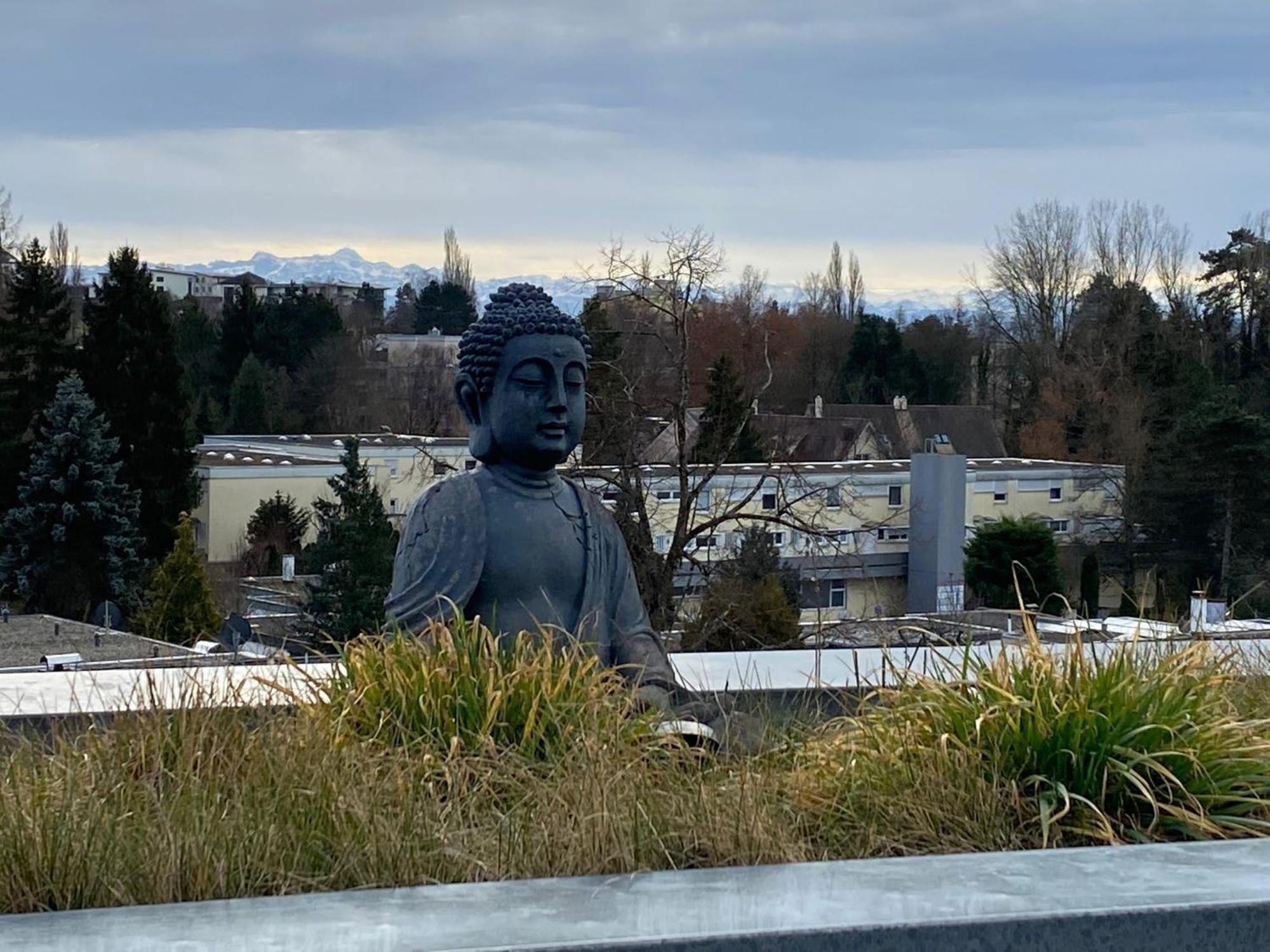 Penthouse - 3 Schlafzimmer- Sonnige Dachterrasse -Whirlpool & Alpenblick - Perfekt Fuer Romantik Oder Familienurlaub Mit Kind, Hund Willkommen - By Ferienwohnenamsee - Uberlingen Ngoại thất bức ảnh