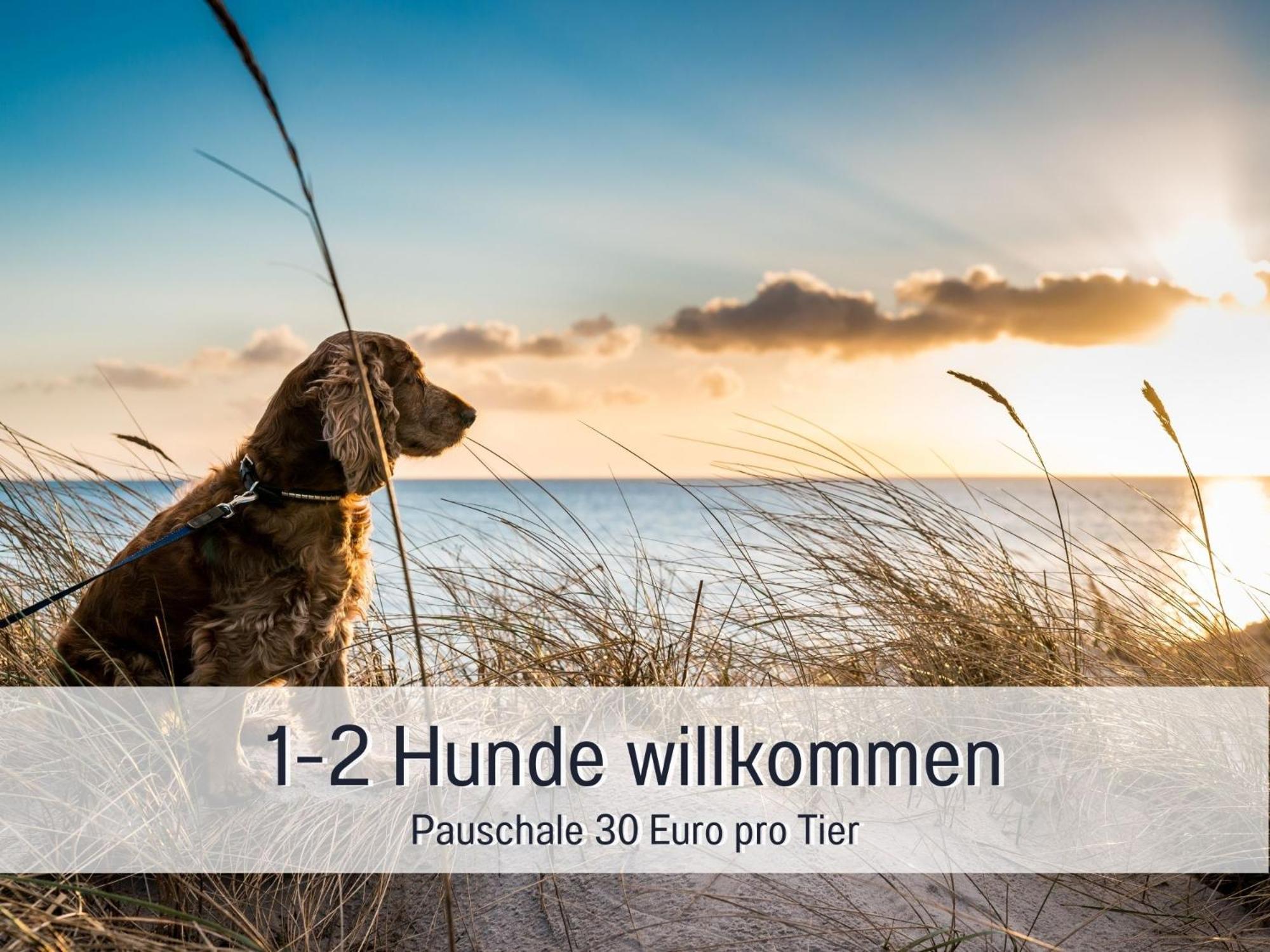 Penthouse - 3 Schlafzimmer- Sonnige Dachterrasse -Whirlpool & Alpenblick - Perfekt Fuer Romantik Oder Familienurlaub Mit Kind, Hund Willkommen - By Ferienwohnenamsee - Uberlingen Ngoại thất bức ảnh